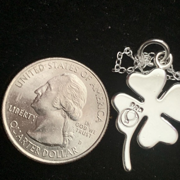 Pendant Charm Necklace - Picture 4 of 4